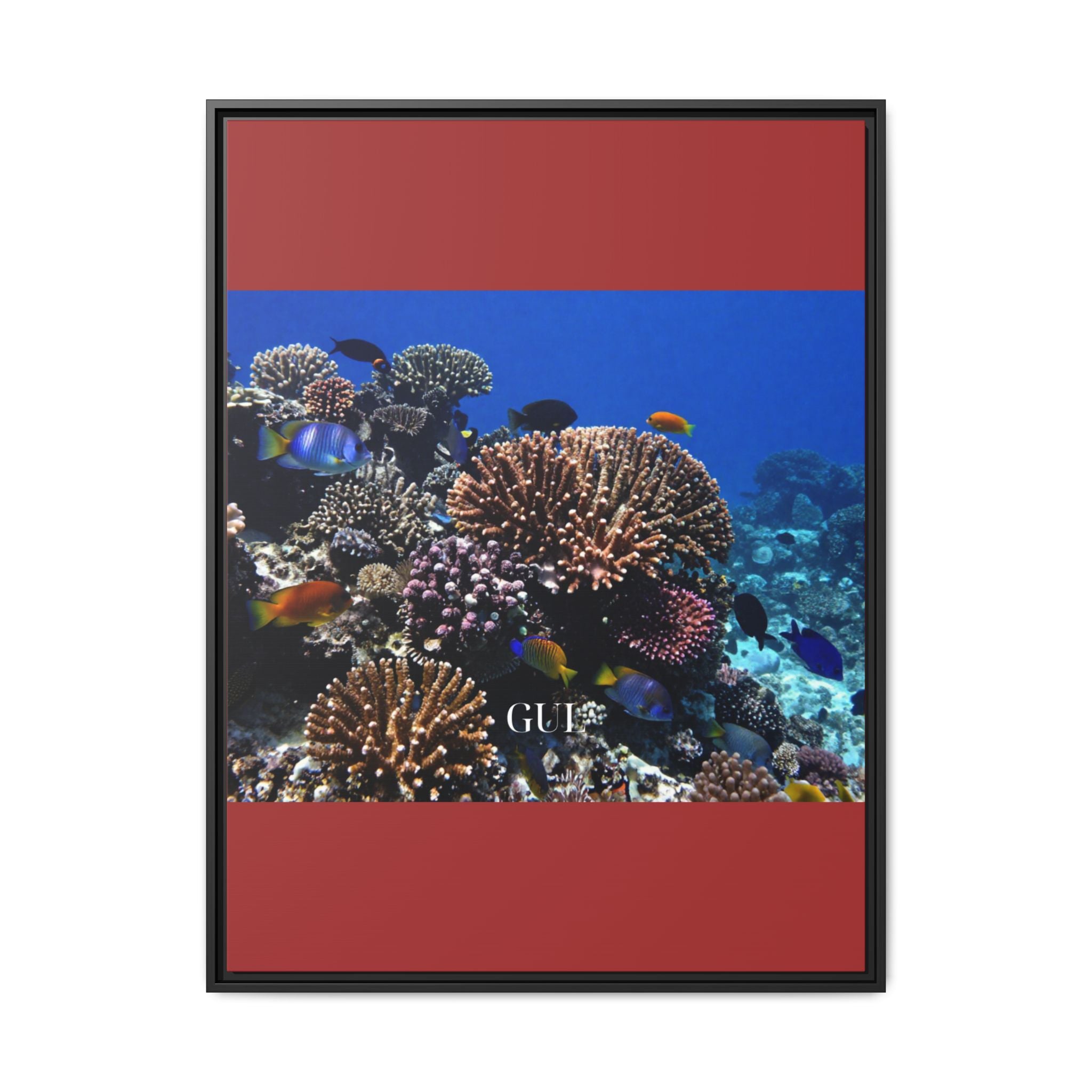 Framed Coral Reef Matte Canvas Wall Art — Tropical Ocean Photography Print