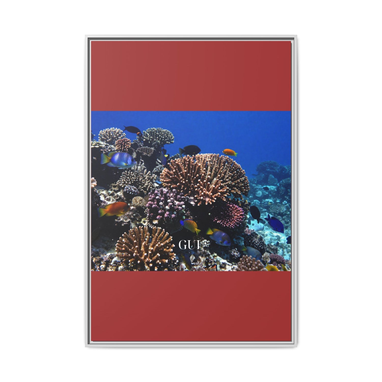 Framed Coral Reef Matte Canvas Wall Art — Tropical Ocean Photography Print