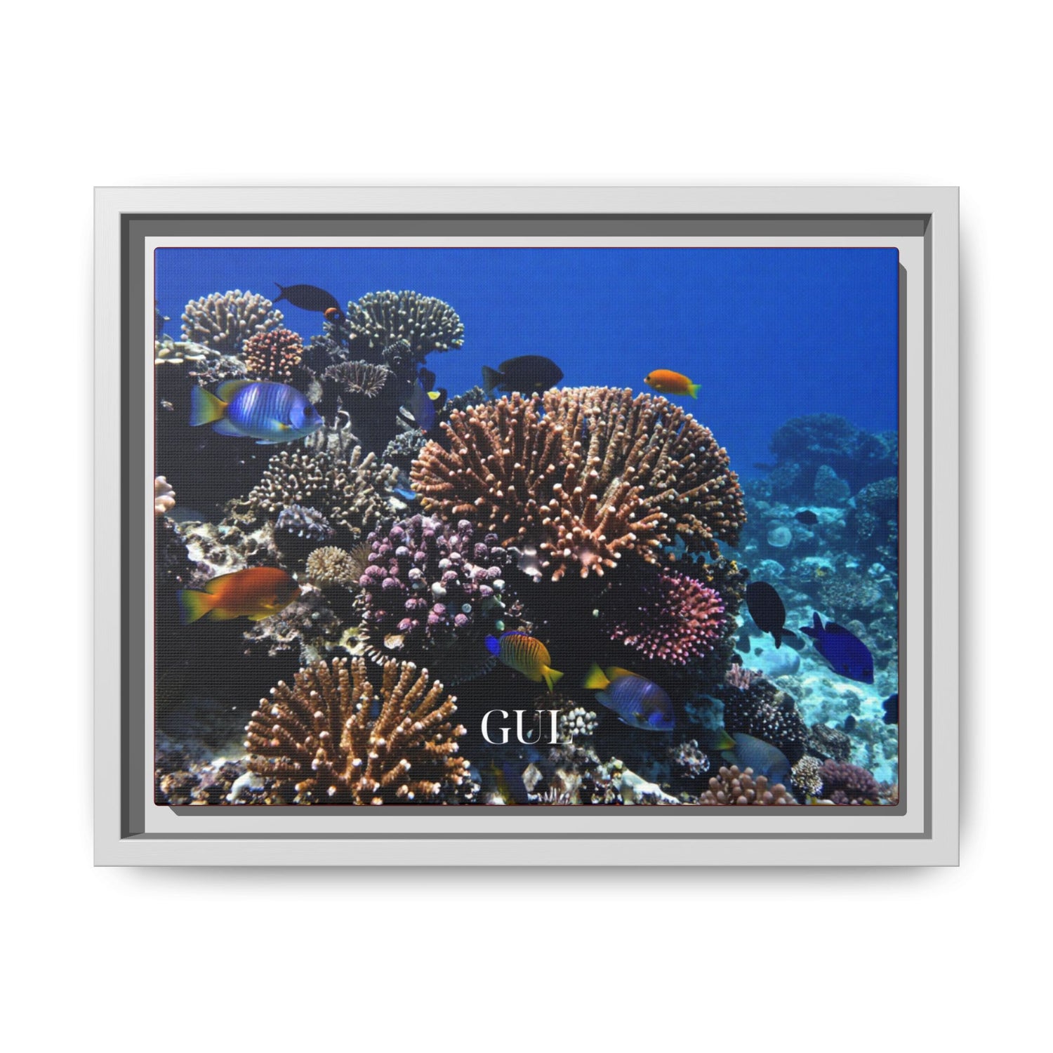 Framed Coral Reef Matte Canvas Wall Art — Tropical Ocean Photography Print