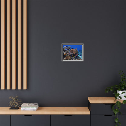 Framed Coral Reef Matte Canvas Wall Art — Tropical Ocean Photography Print