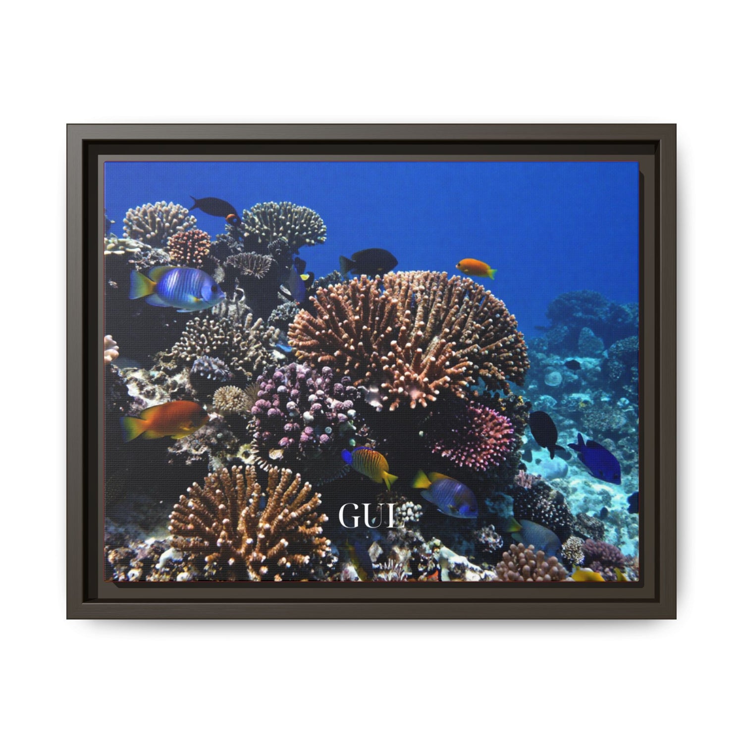 Framed Coral Reef Matte Canvas Wall Art — Tropical Ocean Photography Print