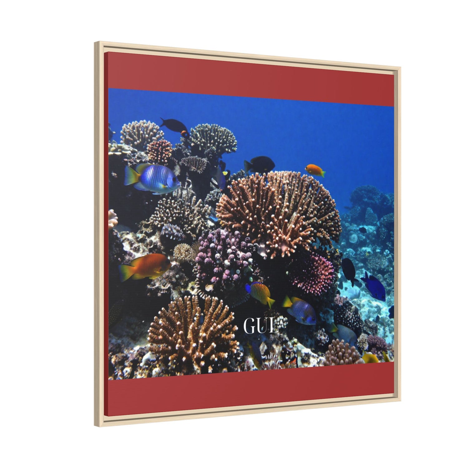 Framed Coral Reef Matte Canvas Wall Art — Tropical Ocean Photography Print