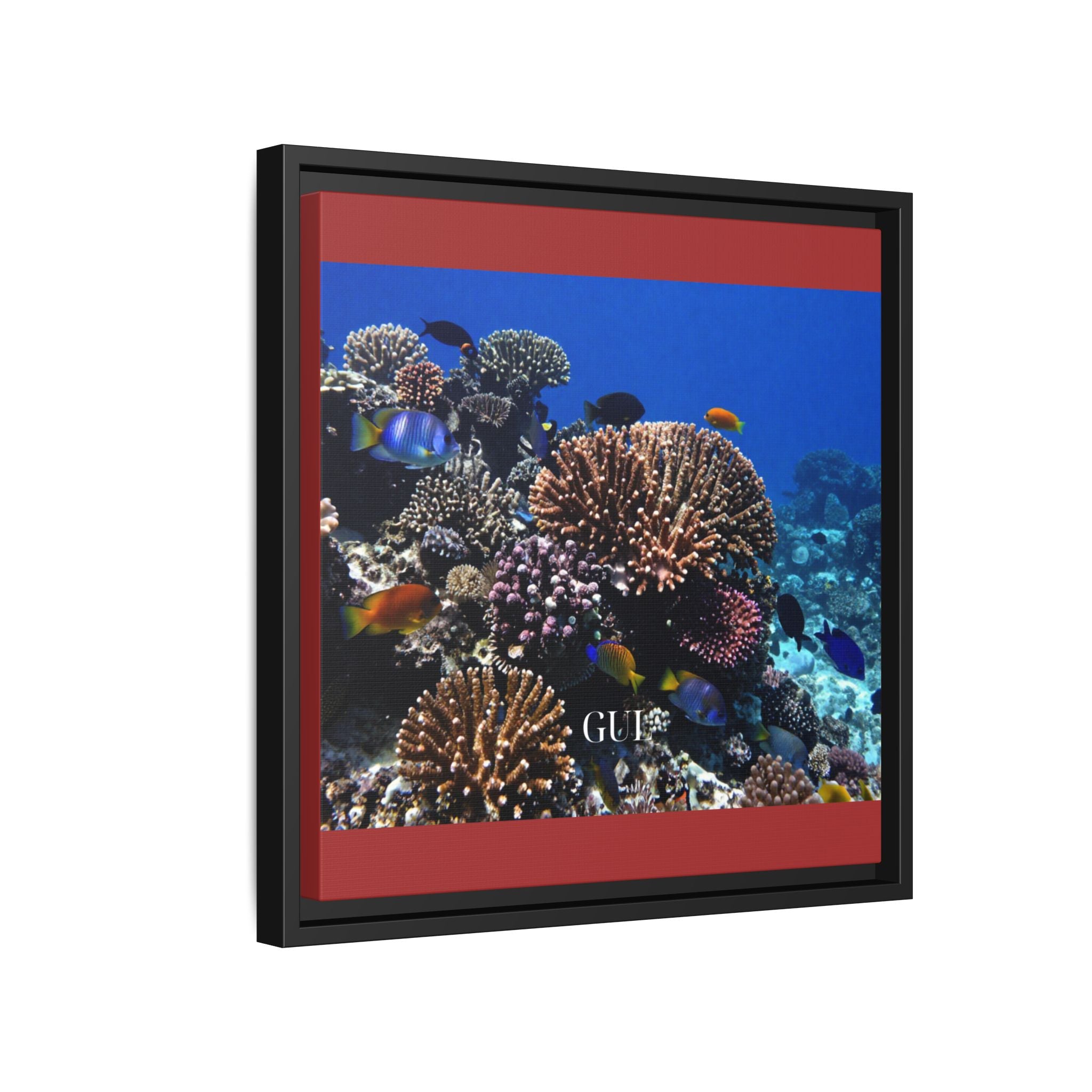 Framed Coral Reef Matte Canvas Wall Art — Tropical Ocean Photography Print