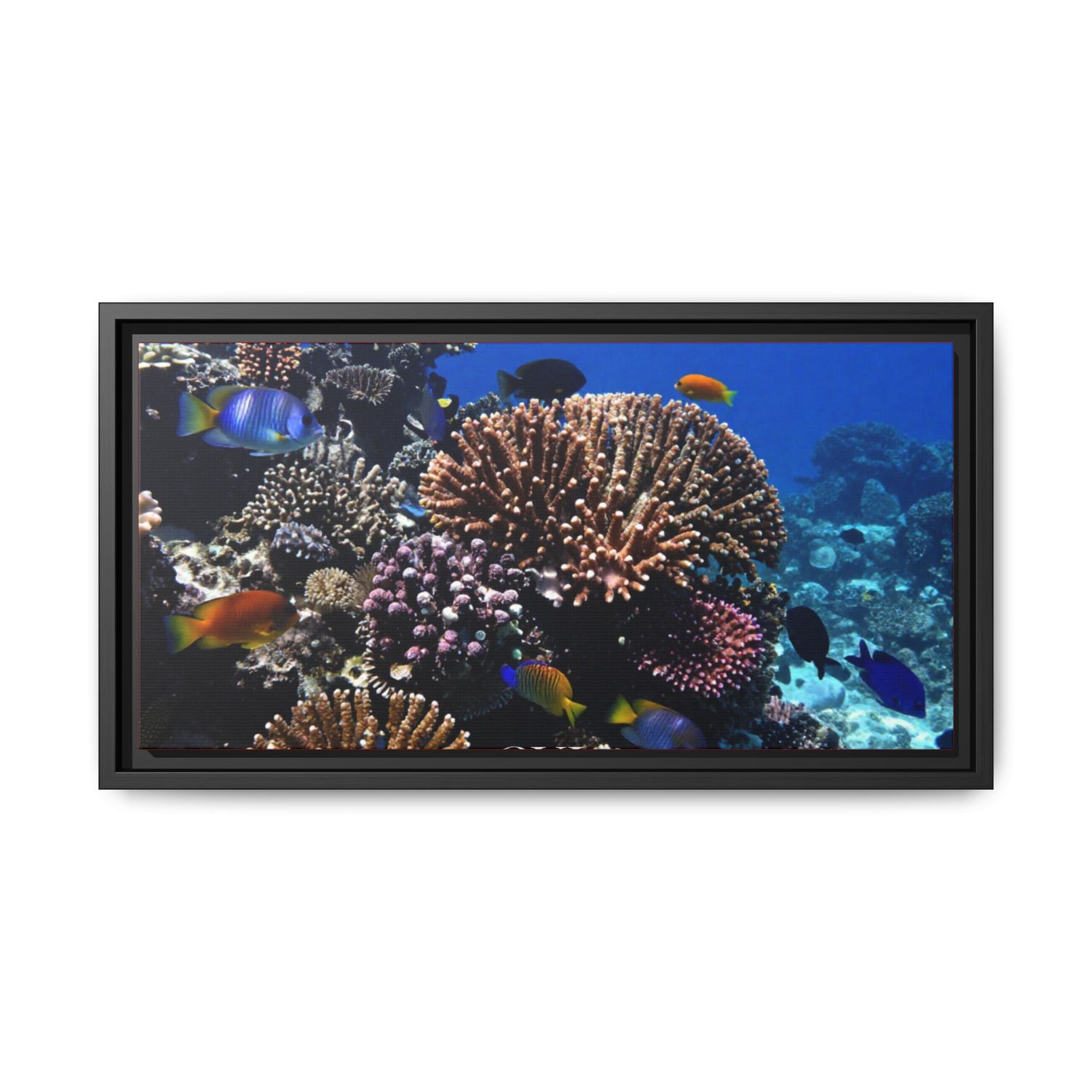 Framed Coral Reef Matte Canvas Wall Art — Tropical Ocean Photography Print