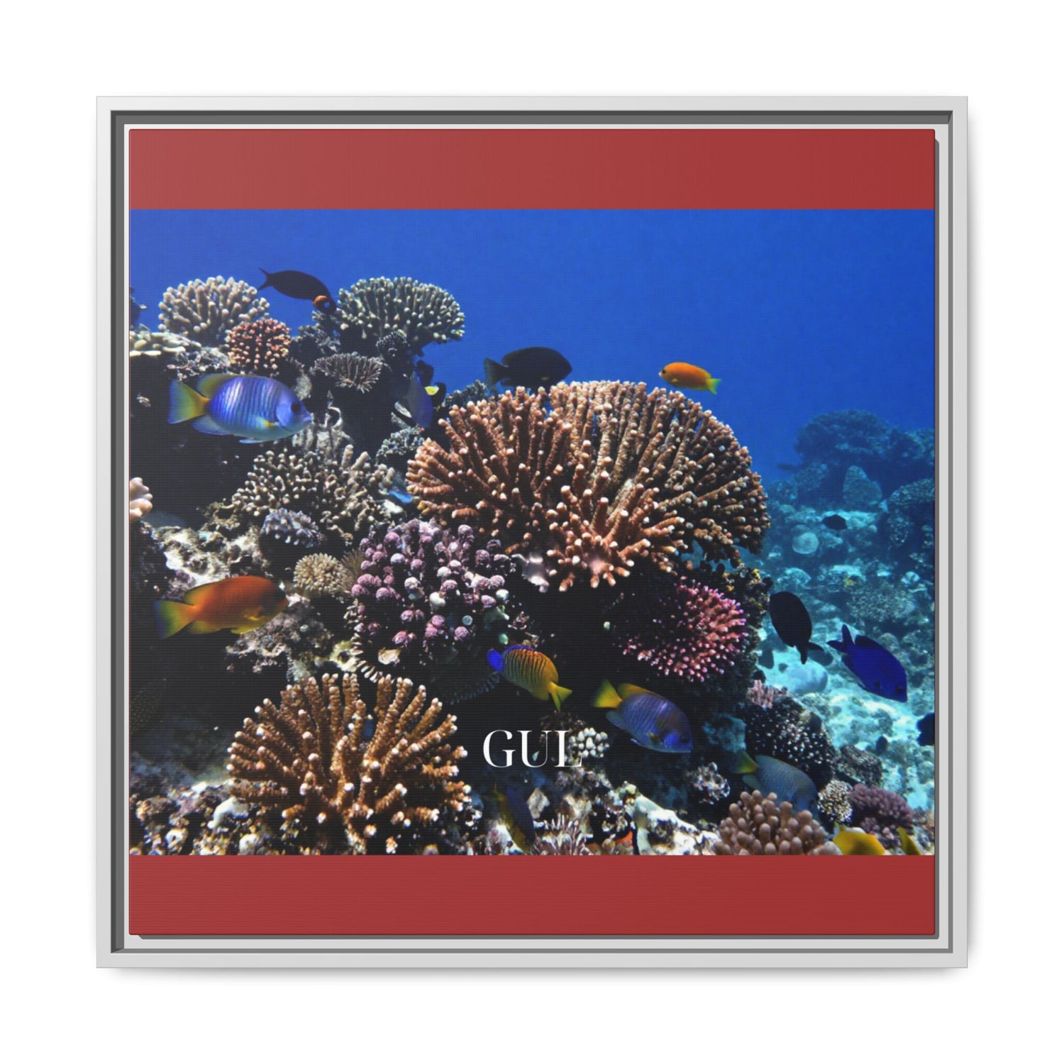 Framed Coral Reef Matte Canvas Wall Art — Tropical Ocean Photography Print