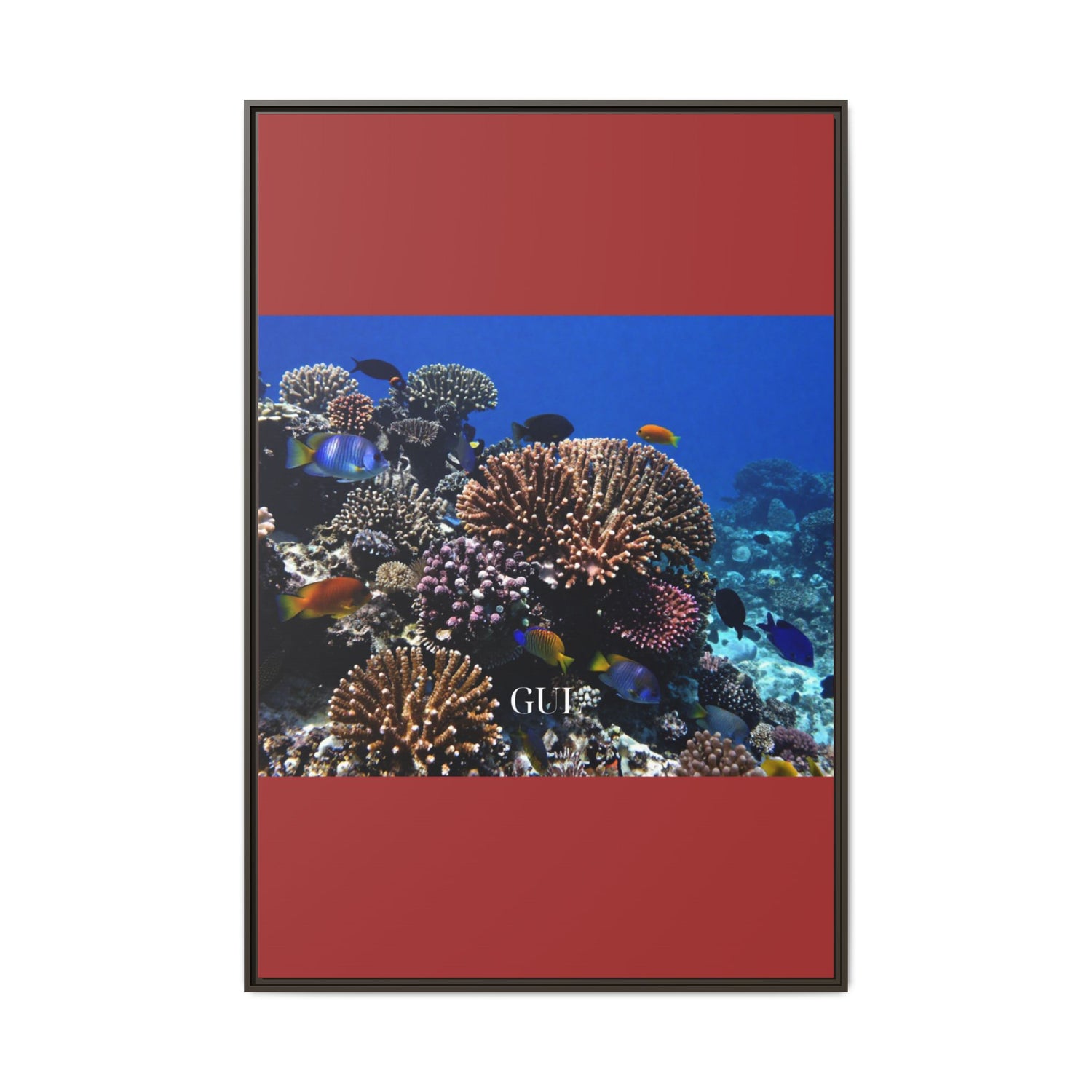 Framed Coral Reef Matte Canvas Wall Art — Tropical Ocean Photography Print