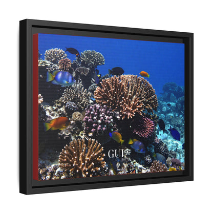 Framed Coral Reef Matte Canvas Wall Art — Tropical Ocean Photography Print