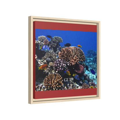 Framed Coral Reef Matte Canvas Wall Art — Tropical Ocean Photography Print