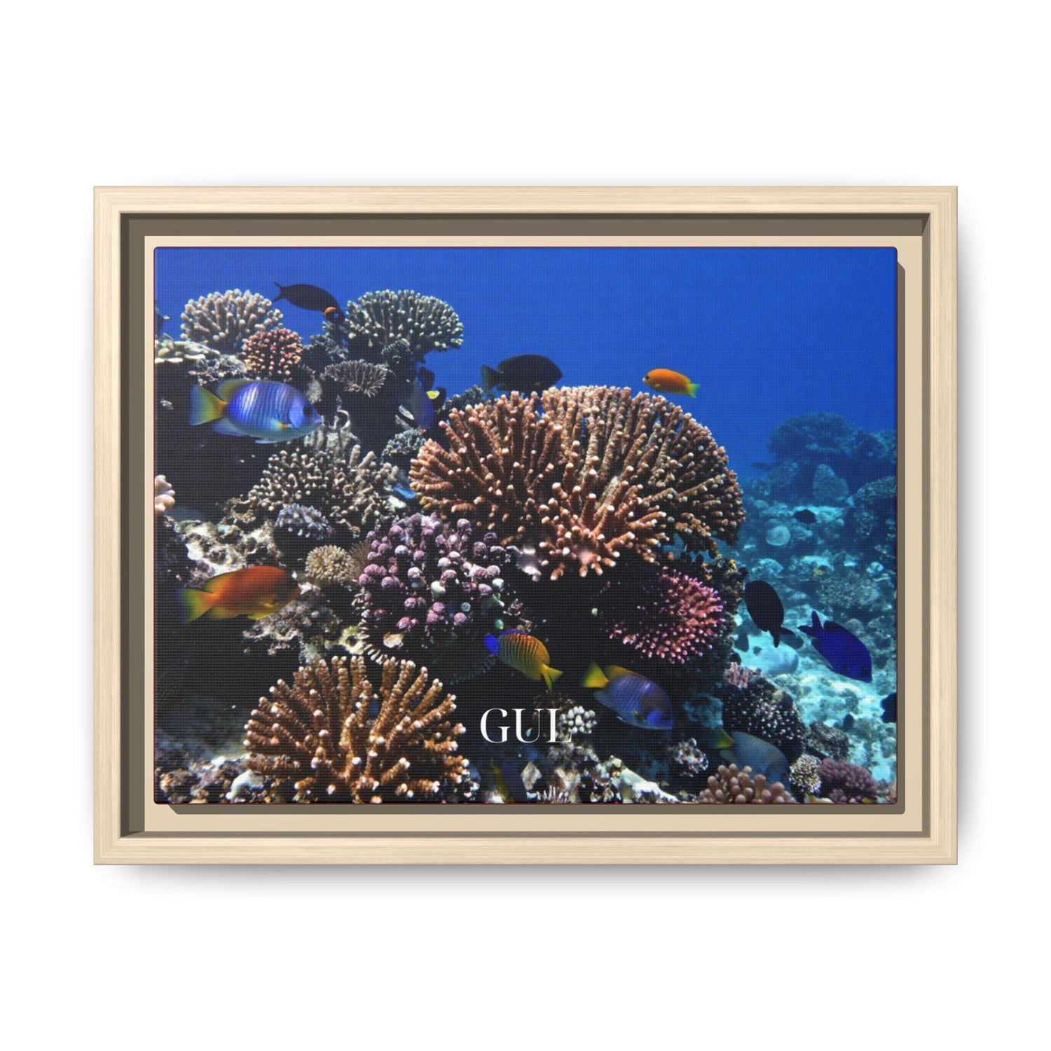 Framed Coral Reef Matte Canvas Wall Art — Tropical Ocean Photography Print
