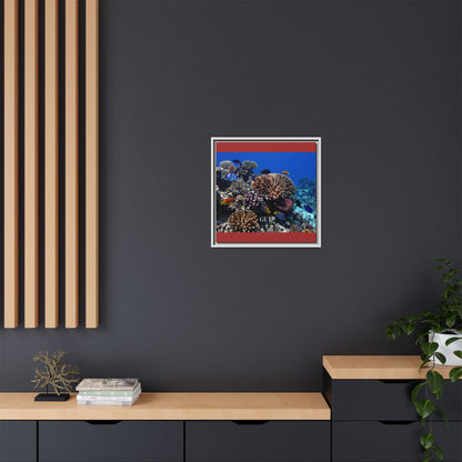 Framed Coral Reef Matte Canvas Wall Art — Tropical Ocean Photography Print