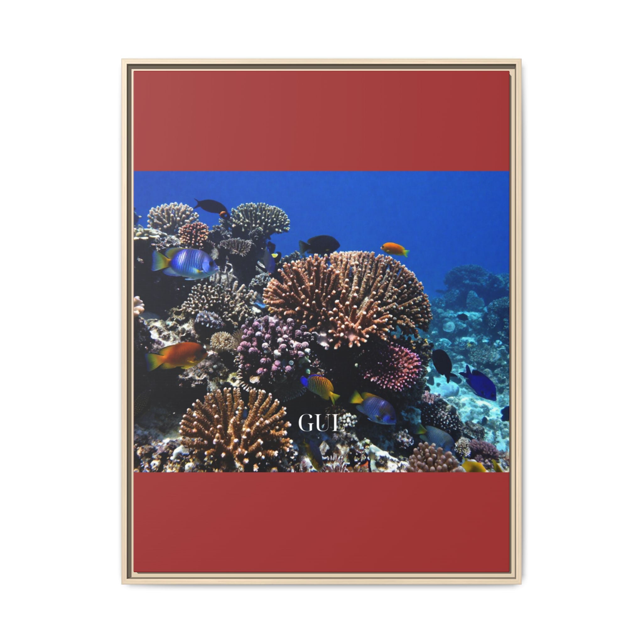 Framed Coral Reef Matte Canvas Wall Art — Tropical Ocean Photography Print